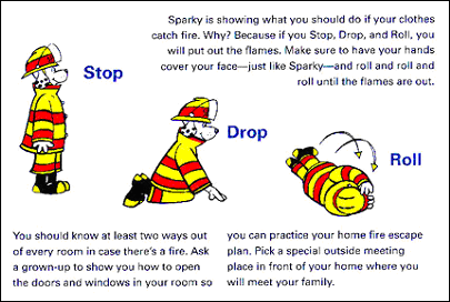 Sparky Stop Drop and Roll Image