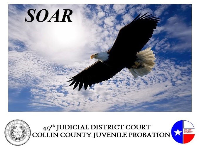 Soar Program Logo