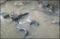 Illegal Dumping of Tires