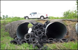 Illegal Dumping of Tires