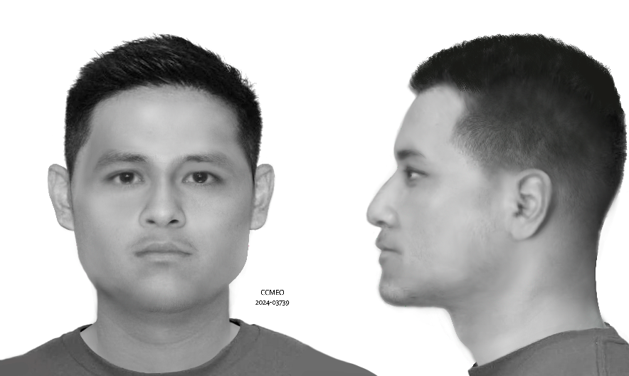 Case Number:2024-03739