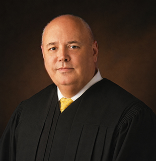 Judge David Rippel